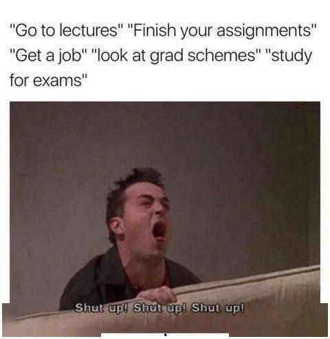 路人吃瓜录视频台词,揭秘娱乐圈幕后故事