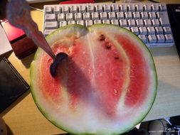 怪哥吃瓜,揭秘娱乐圈那些不为人知的幕后故事