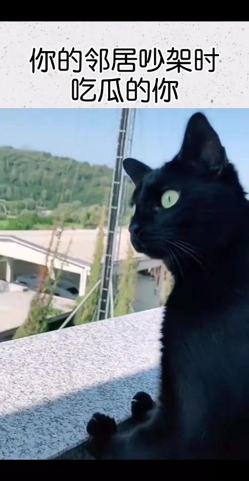 邻居吵架吃瓜出名,吃瓜群众见证一场激情碰撞