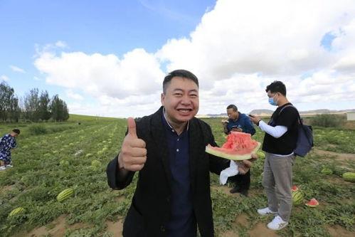 包头吃瓜,揭秘当地特色美食与民间故事